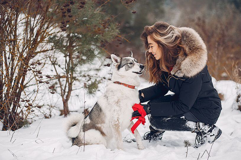 Jak nie zgubić psa w sylwestra, czyli młoda dziewczyna w zimowym lesie ubrana w granatową kurtkę bawi się ze swoim białym psem