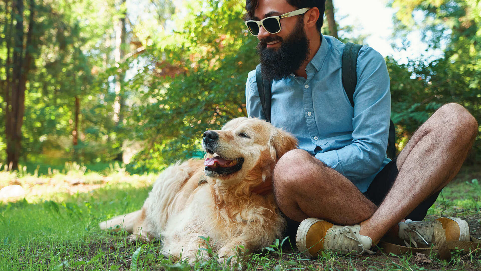 Beżowy pies leżący na zielonej trawie i siedzący, przytulony do niego mężczyzna w niebieskiej koszulce