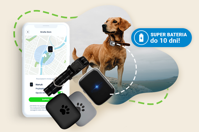 Lokalizator GPS dla psa LocoDog i wytrzymała bateria