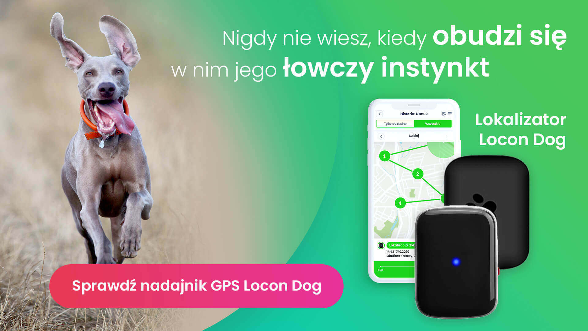 Ranking TOP 5 najważniejszych funkcji GPS dla psa, czyli radośnie biegnący pies na polanie z lokalizatorem GPS Locon Dog
