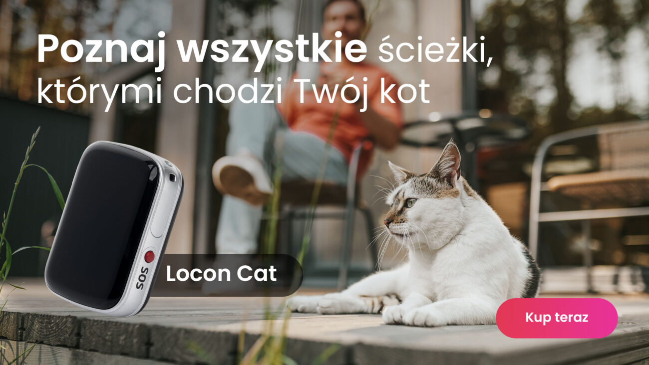 Biały kot z lokalizatorem GPS Locon Cat
