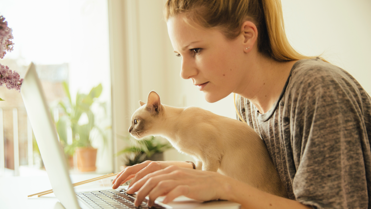 Kobieta przy komputerze z kotem birmańskim