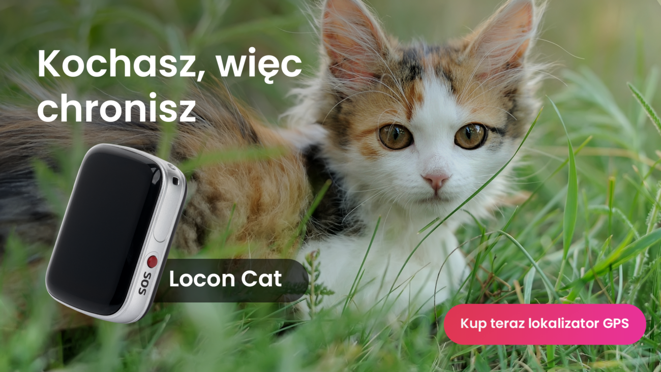 Imiona dla kota czyli niewielki kot leżący w trawie z lokalizatorem GPS dla kota Locon Cat przy obroży