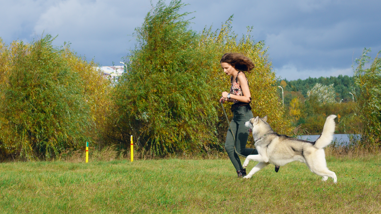 Właścicielka biegająca z psem