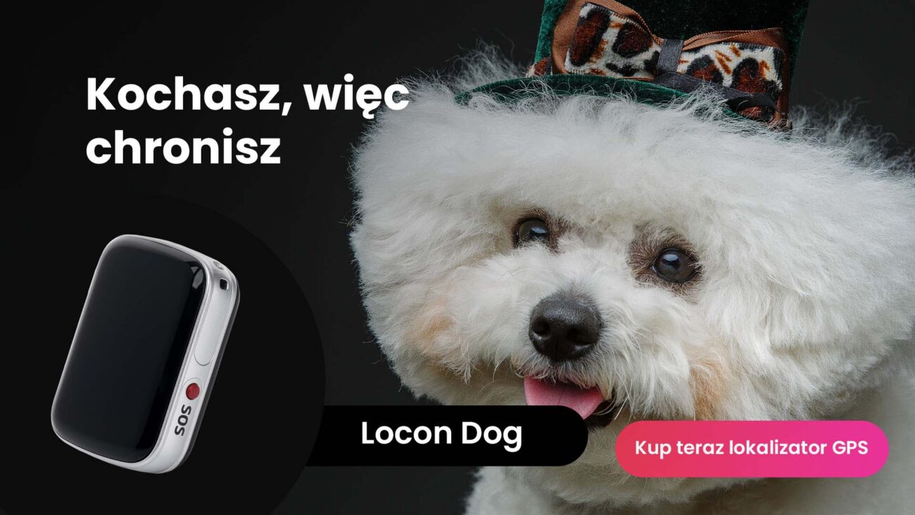 Pies z lokalizatorem Locon dog