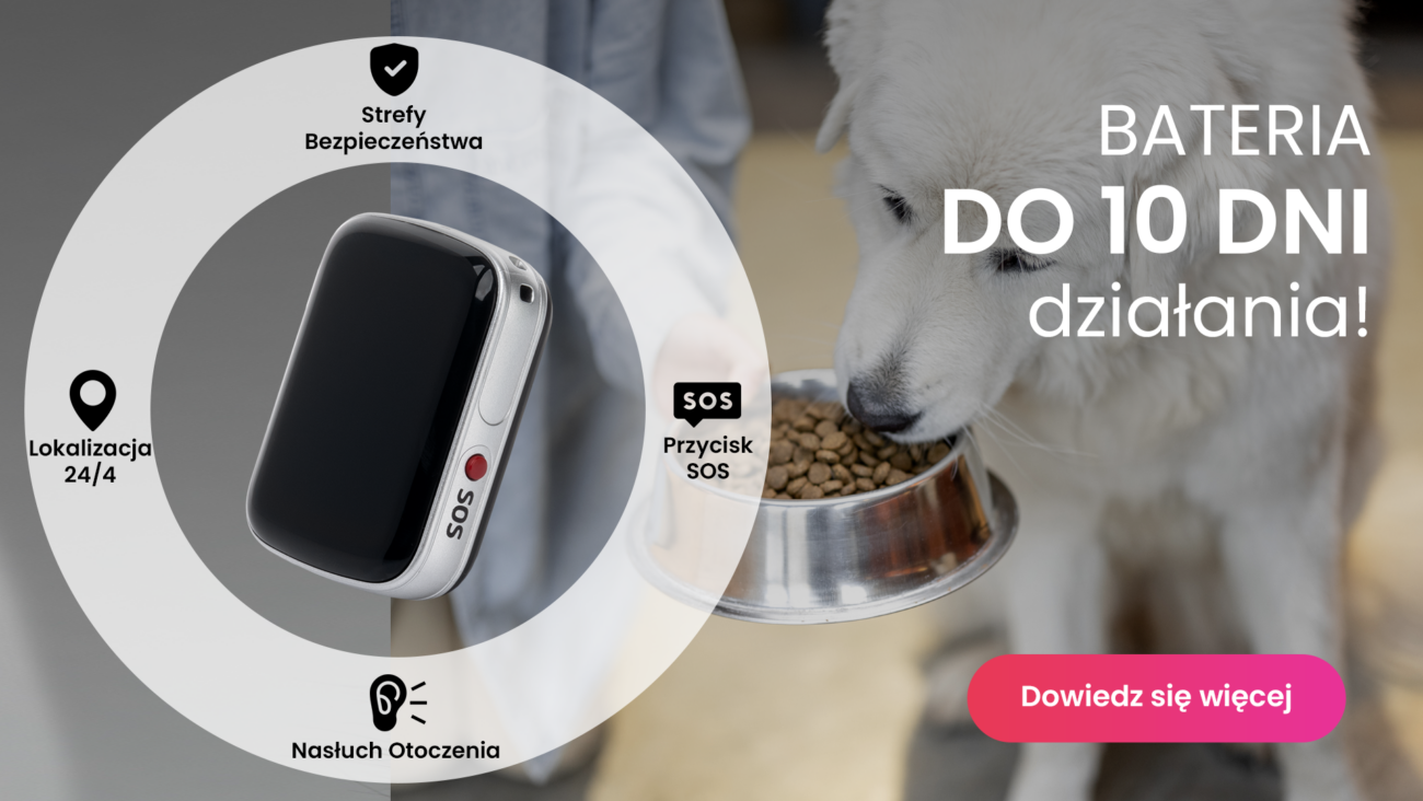 Lokalizator GPS dla psa z wytrzymałą baterią