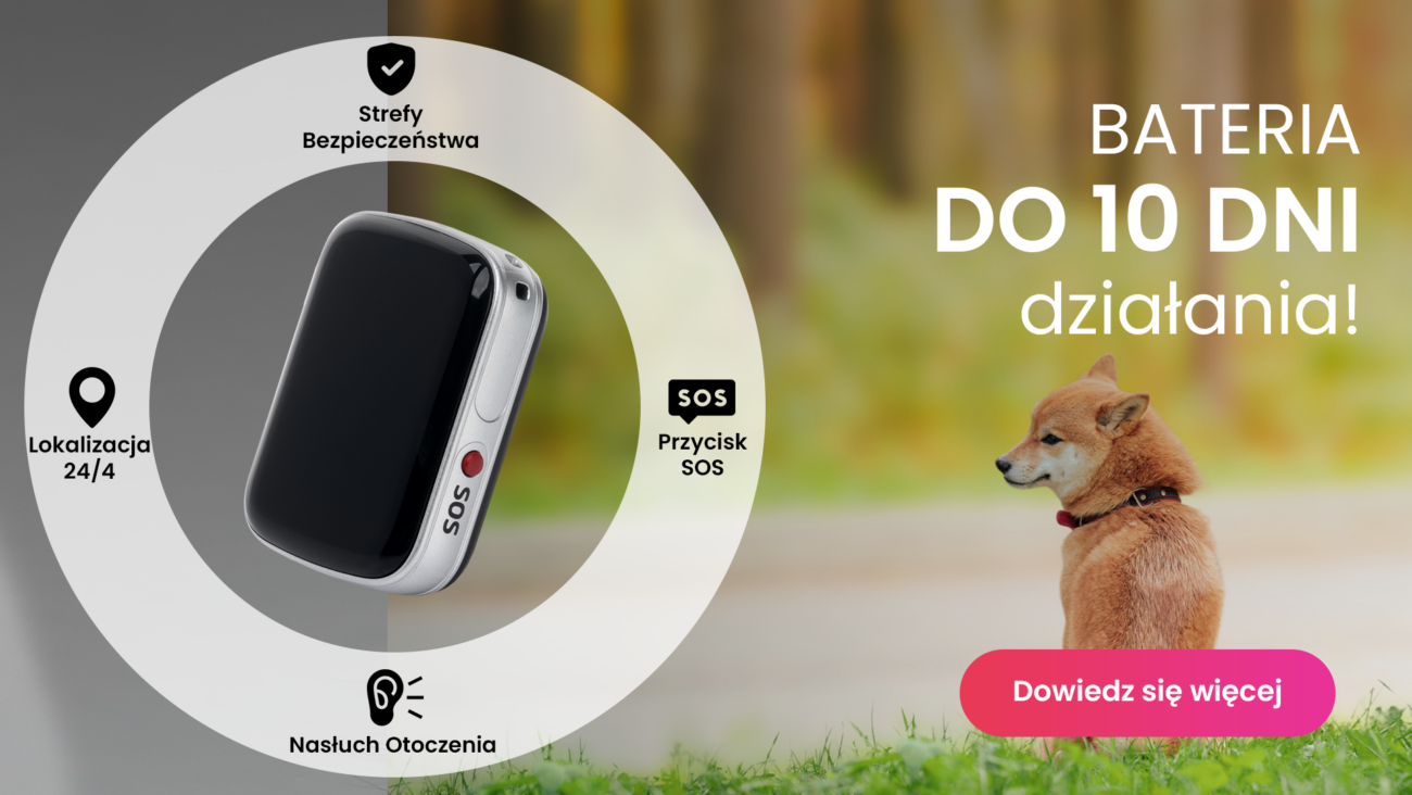 Shiba Inu z lokalizatorem GPS dla psa Locon Dog