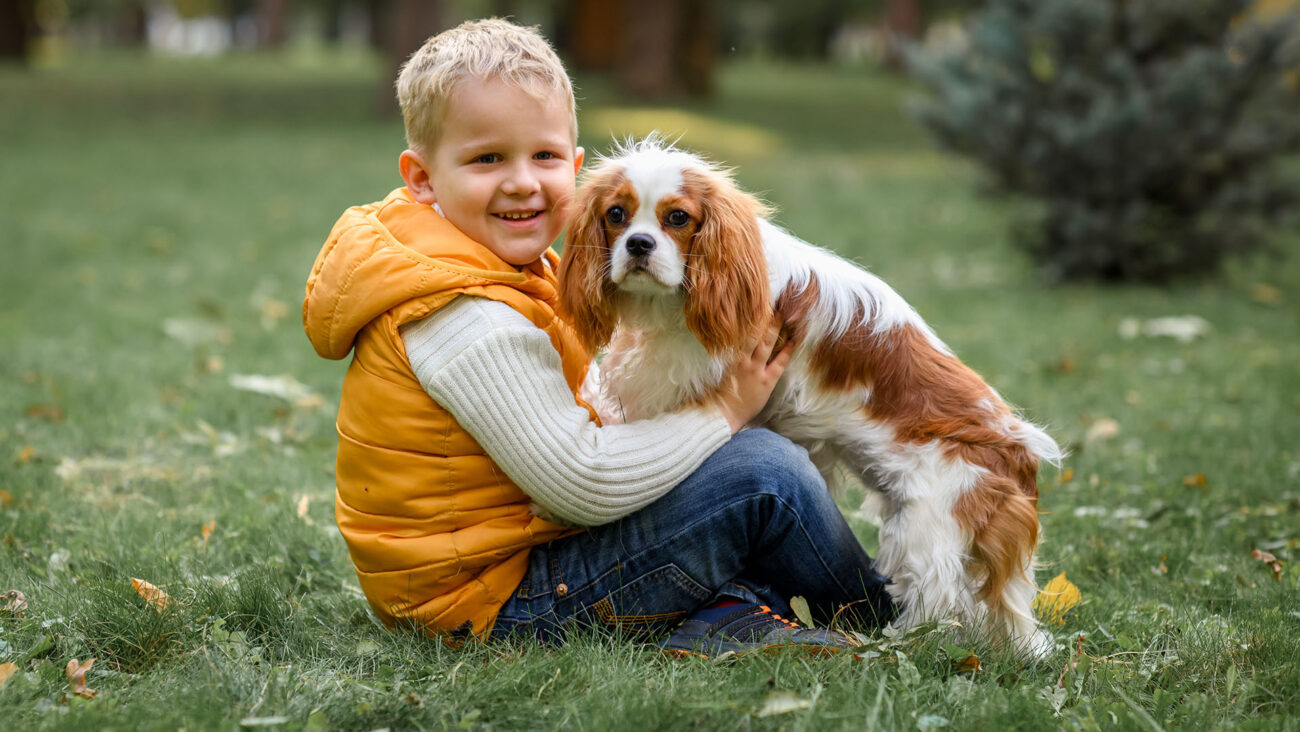 Pies rasy Cavalier King Charles Spaniel z kilkuletnim chłopcem
