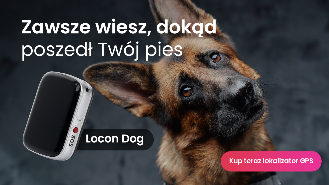 Owczarek niemiecki z lokalizatorem GPS dla psa Locon Dog