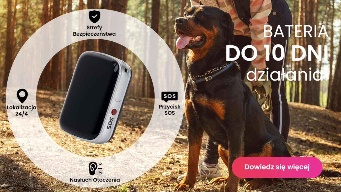 Rottweiler z lokalizatorem GPS dla psa Locon Dog
