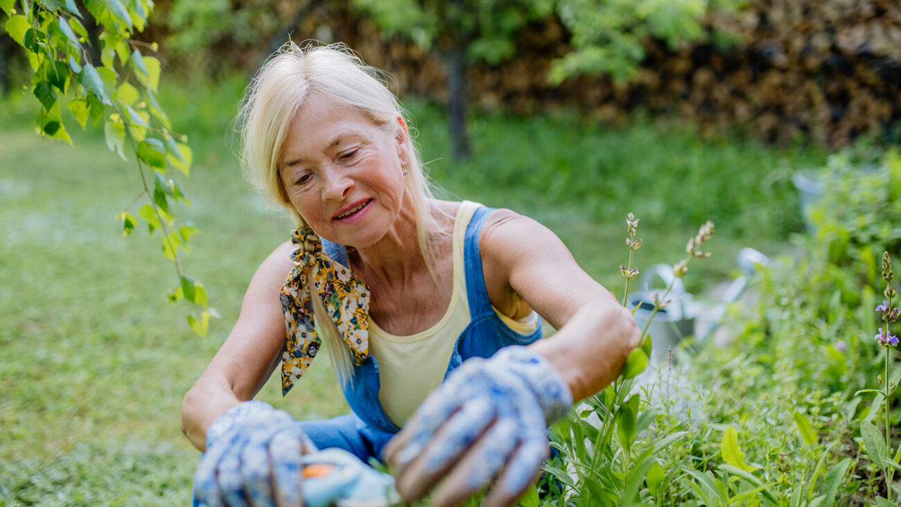 Starsza kobieta pracująca w upalny dzień w ogrodzie